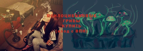 мдма Няндома
