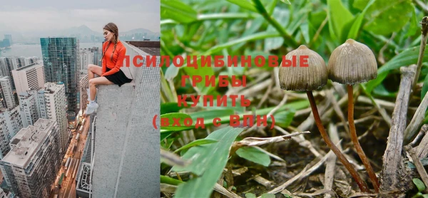 мдма Няндома