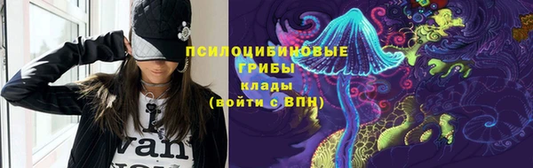 мдма Няндома