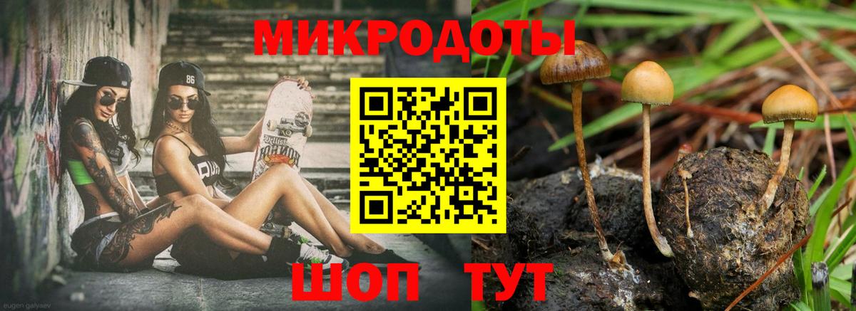 Галлюциногенные грибы Magic Shrooms Самара