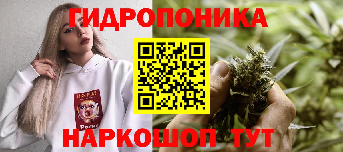 Бошки марихуана Bruce Banner  Бошки марихуана тримм  Самара  Каннабис AK-47  Шишки марихуана план  Вход с VPN 